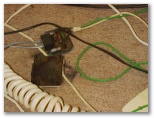 The 'exploded' lightning protection unit.